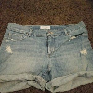 Loft shorts size 8